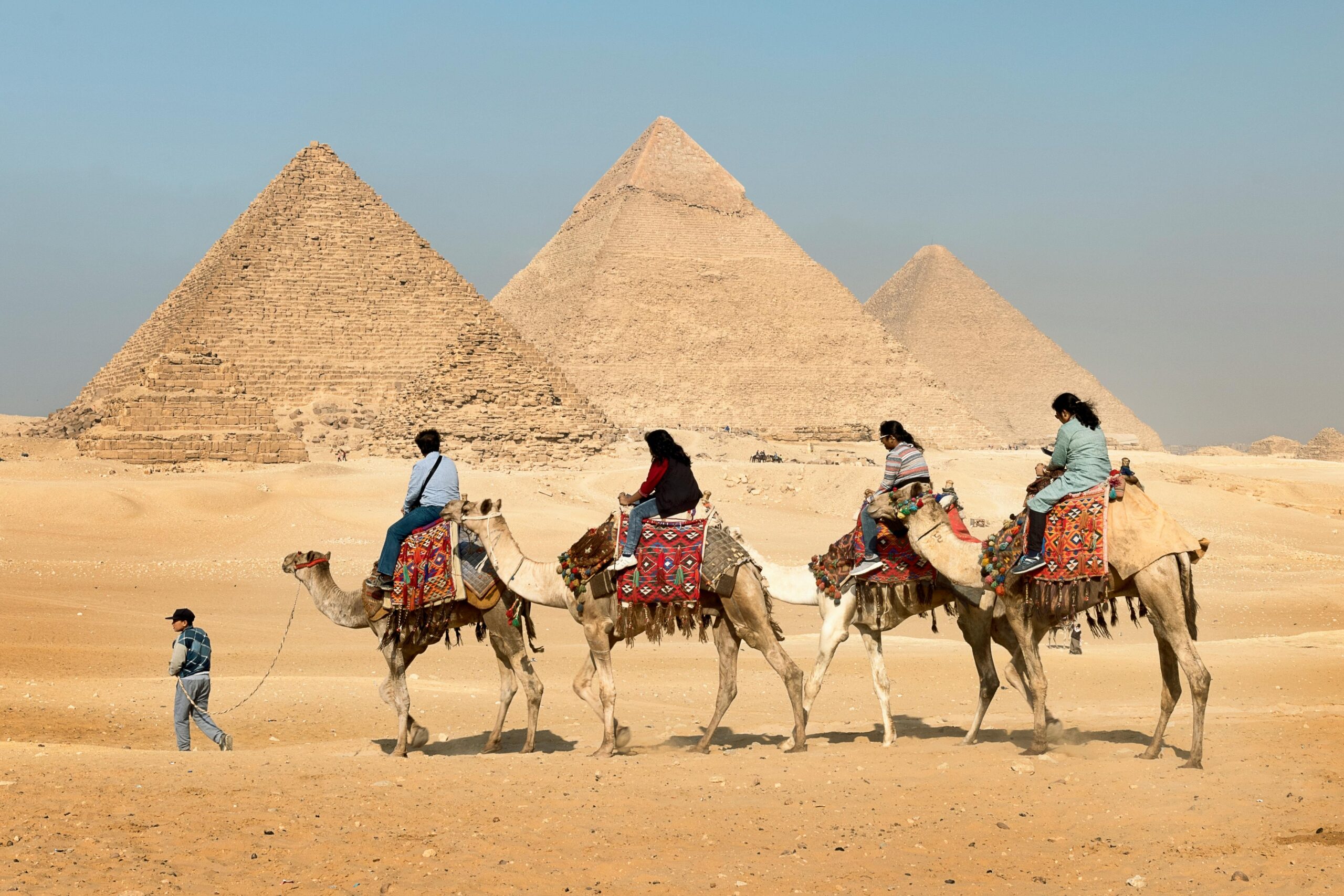 Home Page, Camels